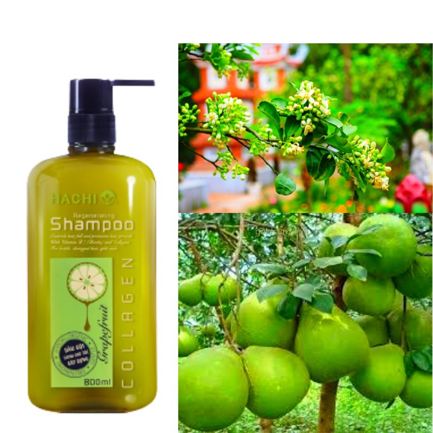 Combo dầu gội xả bưởi Hachi dành cho tóc gãy rụng 350, 500, 800ml