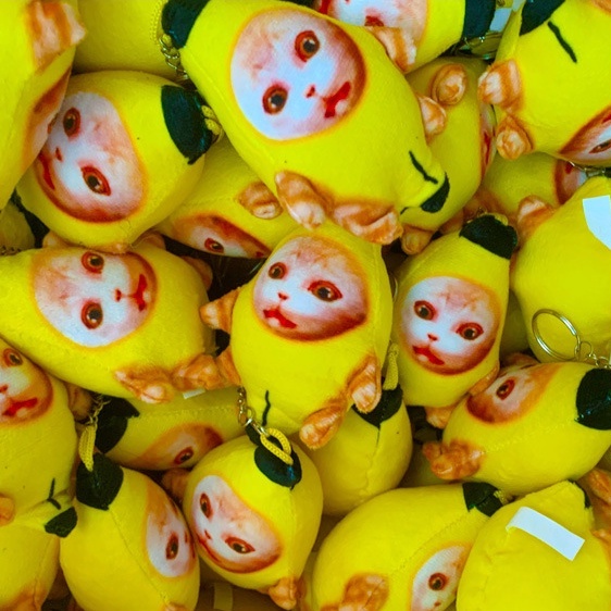 Móc Khóa Mèo Khóc Nhồi Bông Dễ Thương, Móc Khóa Dưa Hấu Ghi Âm Meme Dễ Thương