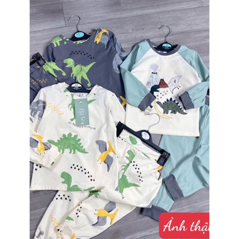Combo 3 bộ bê trai hình khủng long tone xanh - ghi đậm new