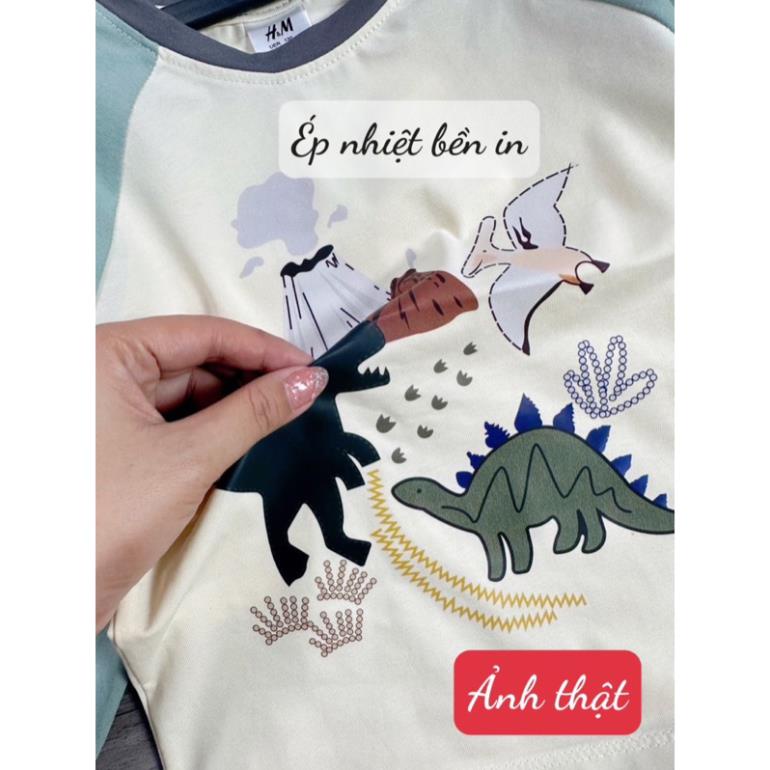 Combo 3 bộ bê trai hình khủng long tone xanh - ghi đậm new