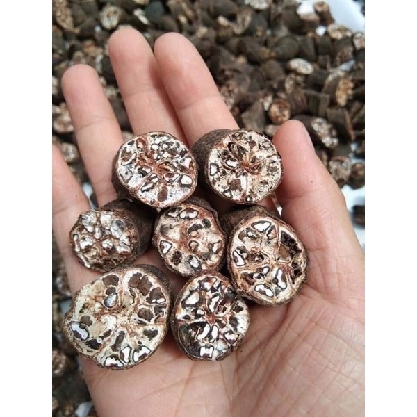 Chuối hột rừng sấy khô ngâm rượu Thái lát ( Khô, sạch,Thơm) (1kg). Đồ ngâm rượu hạt chuối rừng. Đặc sản Tây Bắc