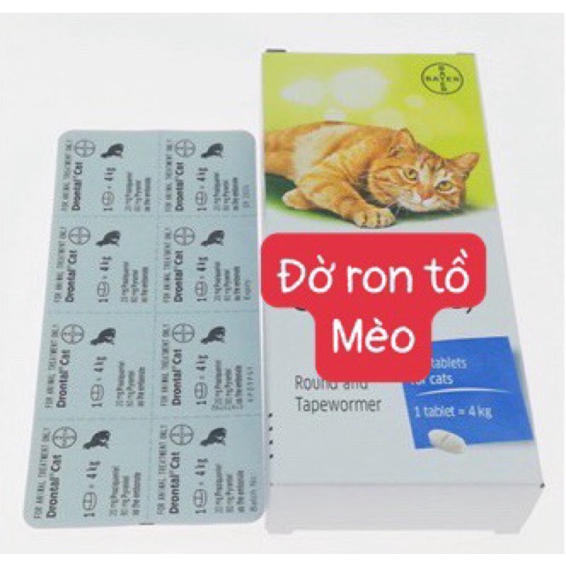 X0 gjun cho mèo / chó - tjêu djet gjn s@n’ đường ruột