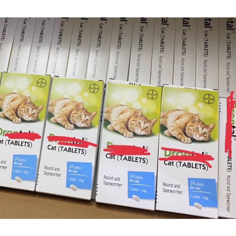 X0 gjun cho mèo / chó - tjêu djet gjn s@n’ đường ruột