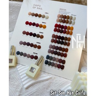 Set Sơn Hàn tông nâu cao cấp, Sơn gel cao cấp. Sơn Caifu. phụ kiện nail cao cấp. tặng bảng màu như hình