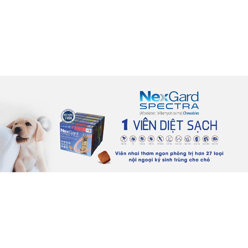 Viên nhai cho chó vị thịt bò Nex cho chó phiên bản Spectra tác dụng 33 trong 1 - Needforpetshop