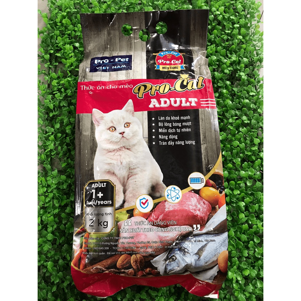 Hạt Cho Mèo Pro Cat 2Kg - Thức Ăn Cho Mèo Trưởng Thành Trên 1 Tuổi