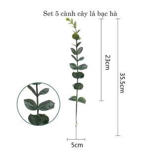Set 5 cành lá cây bạc hà dài