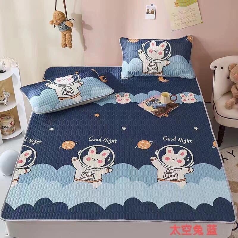 Chiếu điều hòa cao su non latex gồm có ga trải giường kèm 2 áo gối ga điều hòa kích thước m5/m6/m8/m