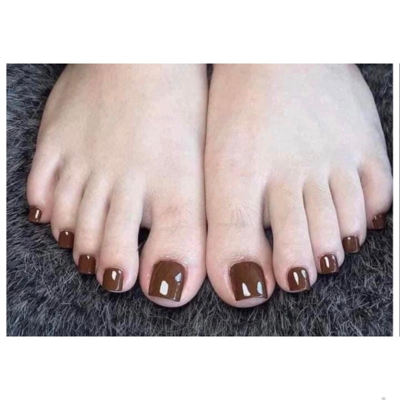 Sét tông nâu 9 màu 15ml tặng bảng màu