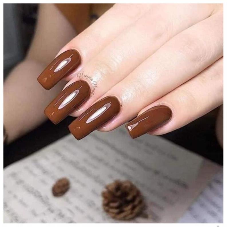 Sét tông nâu 9 màu 15ml tặng bảng màu