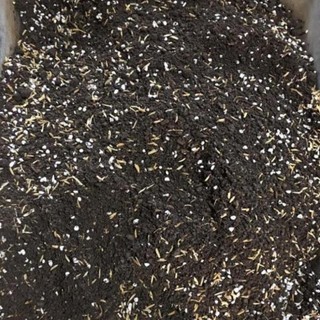 Đất dinh dưỡng trồng cây 100g