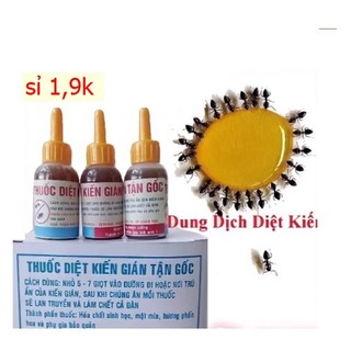 Lọ dung dịch Diệt kiến , Gián