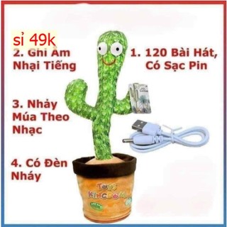 Đồ chơi Xương rồng biết hát