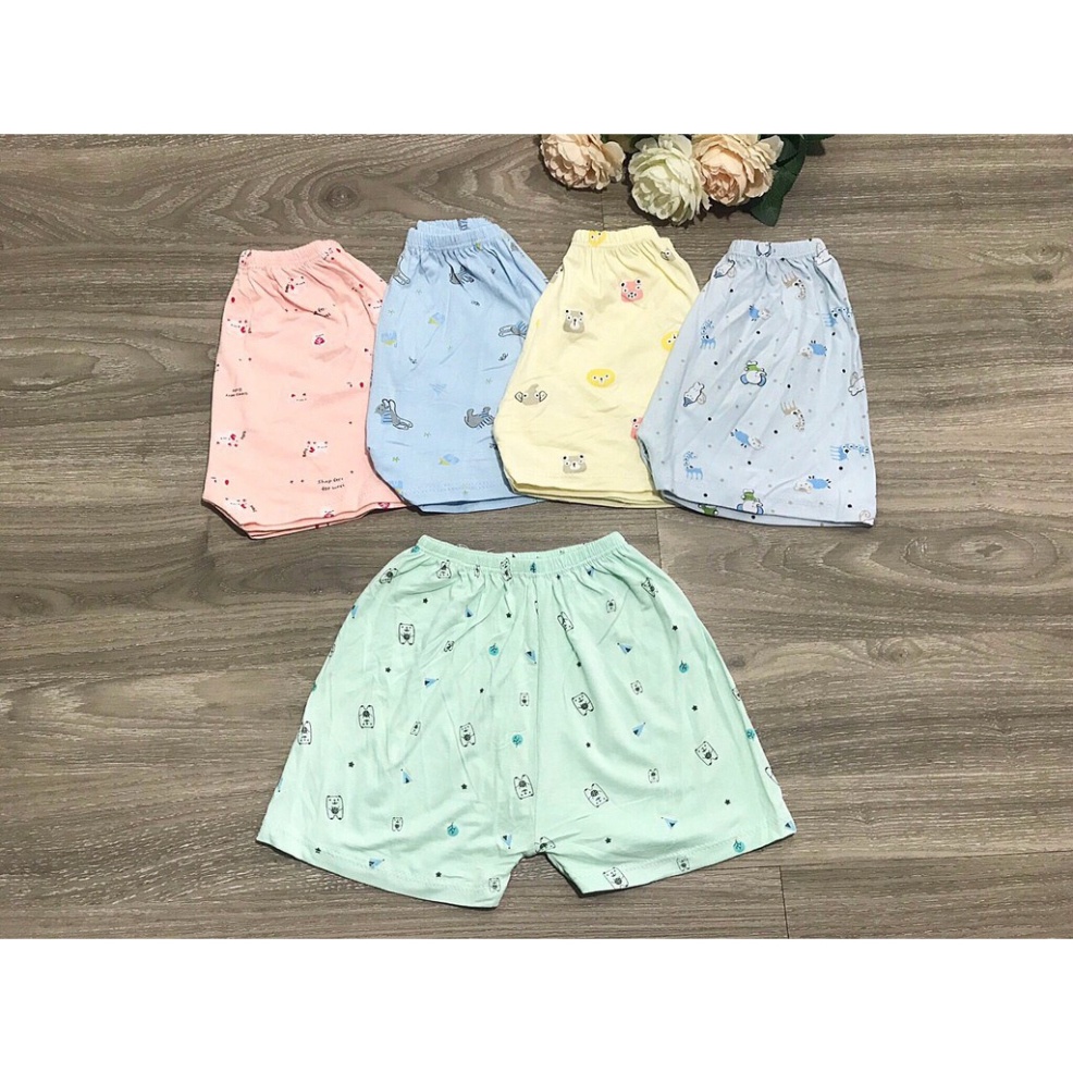 Quần đùi chục peptit thun lạnh siêu mềm mát cho bé trai/bé gái BABYCITY QC21