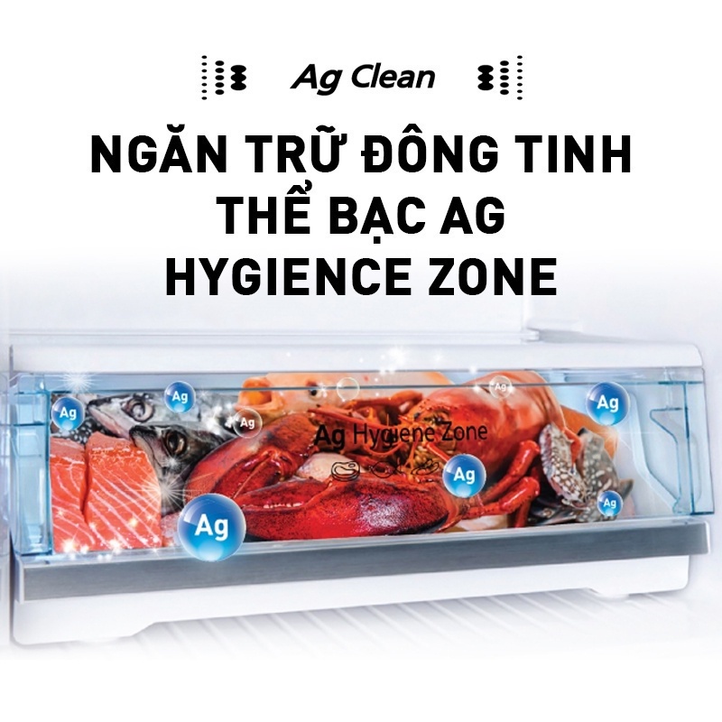 Tủ lạnh Panasonic 2 cánh ngăn đá trên NR-TL381BPS9 - Bảo hành 2 năm