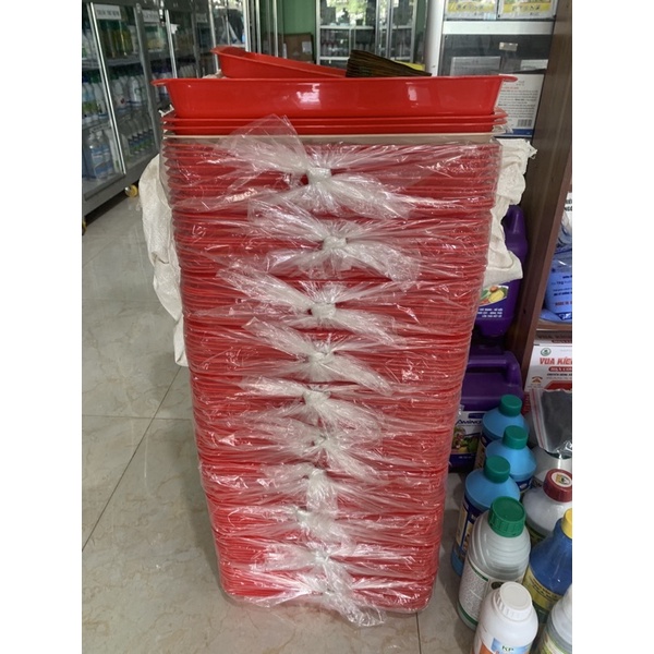 Mâm nhựa trồng dưa hấu