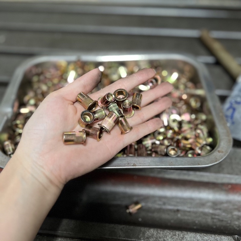 Đinh tán / tán rút / ecu rút