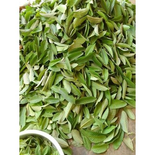 500gr lá ổi khô lá non hàng thơm. sạch