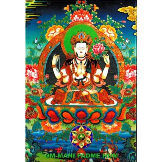 Thẻ Nhớ 8G Chép Sẵn Hơn 669 Bài Tụng Kinh, Niệm Phật, Giảng Pháp - TD8G09