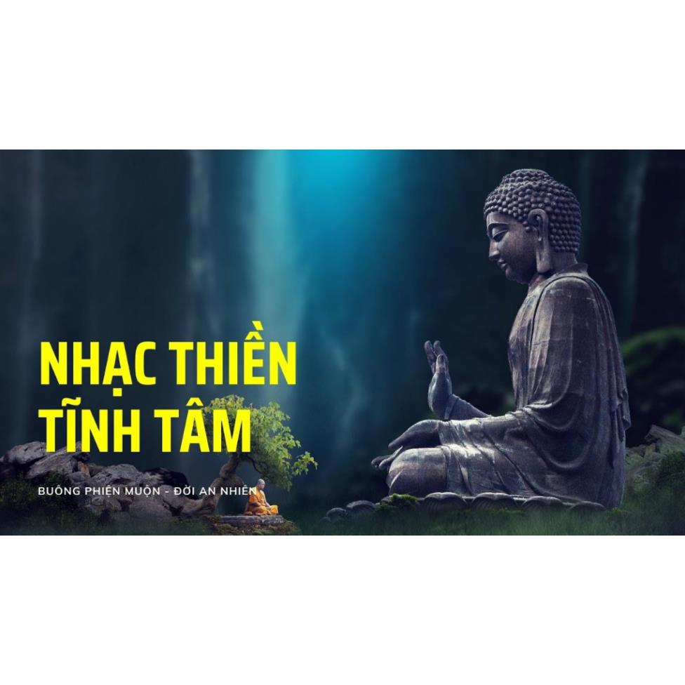 Thẻ Nhớ 8G Chép Sẵn Hơn 669 Bài Tụng Kinh, Niệm Phật, Giảng Pháp - TD8G09