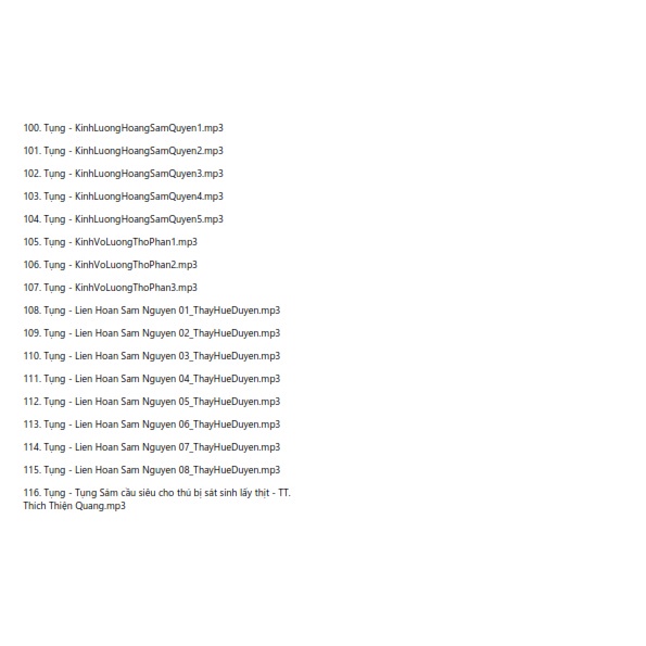 Thẻ Nhớ 8G Chép Sẵn Hơn 100 Bài Niệm Phật Kinh Được Chọn Lọc kèm list