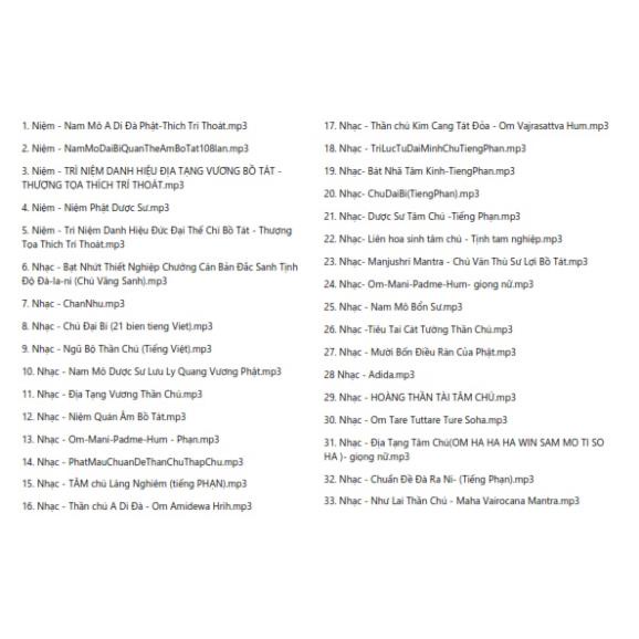Thẻ Nhớ 8G Chép Sẵn Hơn 100 Bài Niệm Phật Kinh Được Chọn Lọc kèm list