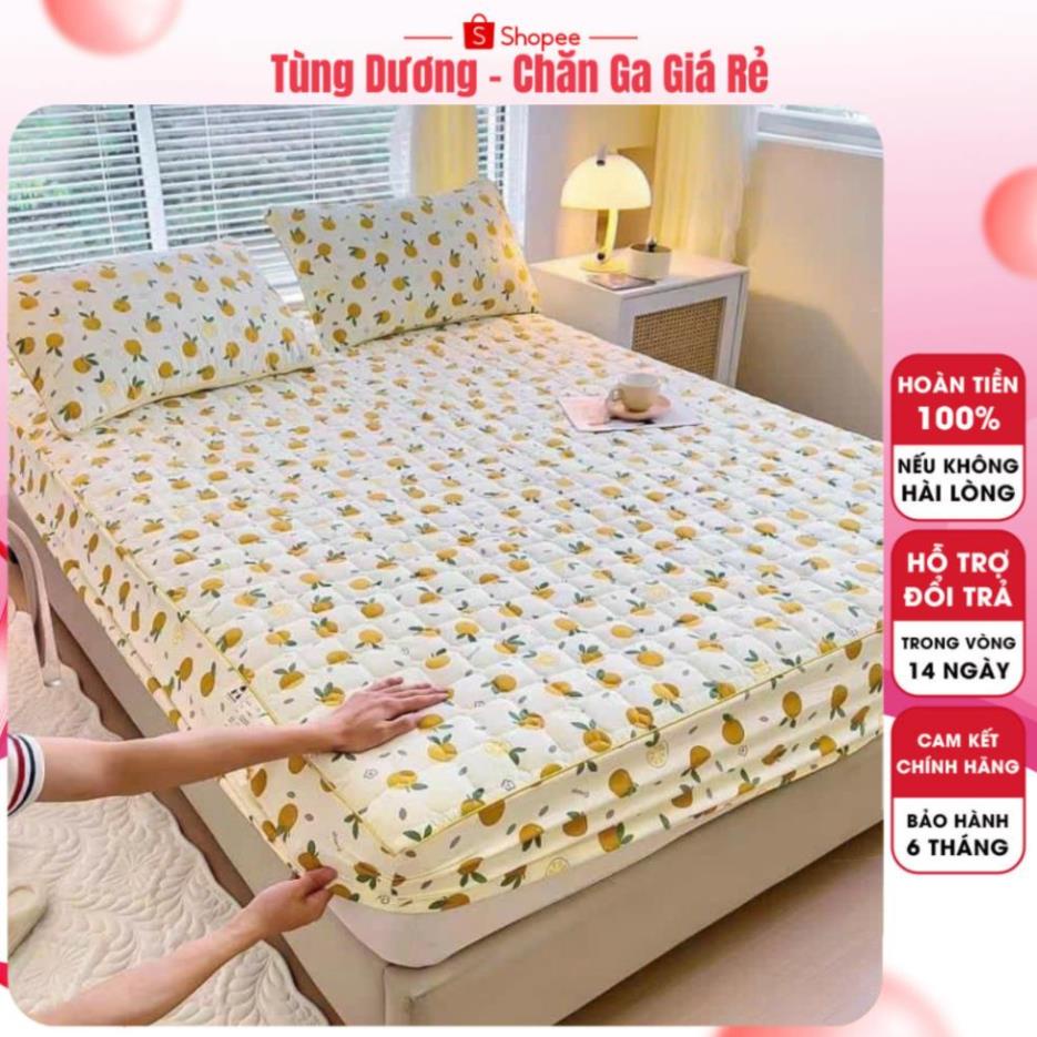 Ga trải giường ,ga trần bông coton đũi ga bo chun nhiều kích thước m6 m8 2m2