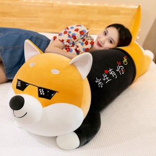 Gấu bông to chó husky đeo kính, Gấu bông khổng lồ chó shiba siêu cute, Gấu bông ôm cho chó Husky 1m5 - G86