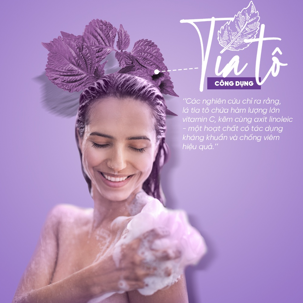 Gel Tắm Tinh Chất Tía Tô Bamboo Giúp Sạch Bụi Bẩn Mịn Màng Làn Da Giảm Mụn Lưng B57 750ml