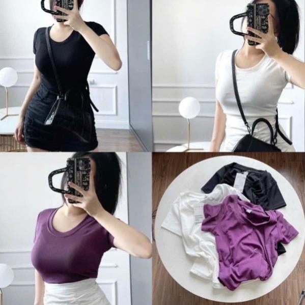 Set 3 áo thun hàng xuất xịn full màu siêu hot - Áo thun nữ cổ tròn ôm body full bảng màu cực xinh - MiaShop
