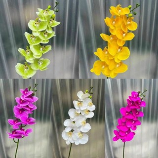 Cành hồ điệp giả. hồ điệp ướt cao su hàng loại 1