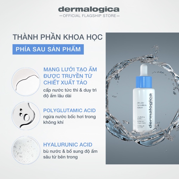 Tinh chất Dermalogica Circular Hydration Serum cấp ẩm chuyên sâu 30ml