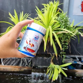 Men vi sinh dạng bột Ag cho hồ cá Koi