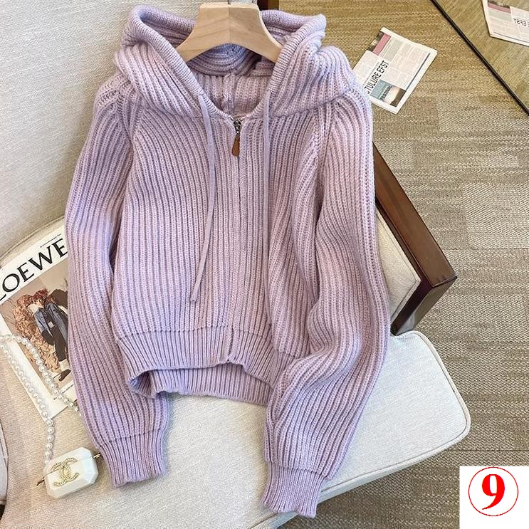 Áo Khoác cardigan Dệt Kim Có Nón Mềm Và Khóa Kéo Phong Cách Thời Trang 202