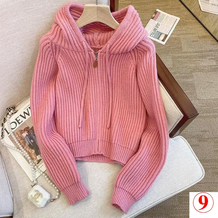 Áo Khoác cardigan Dệt Kim Có Nón Mềm Và Khóa Kéo Phong Cách Thời Trang 202