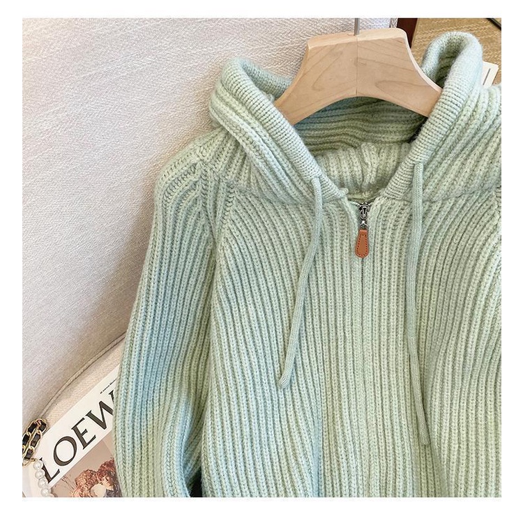 Áo Khoác cardigan Dệt Kim Có Nón Mềm Và Khóa Kéo Phong Cách Thời Trang 202