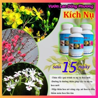 Thuốc Kích Hoa Mập Nụ cực mạnh Supper K, Thúc Đẩy Quá Trình Ra Hoa sau 15 Ngày
