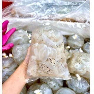 1kg 2 túi sứa biển quy nhơn không mặn