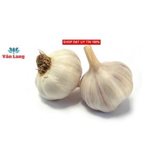 Tỏi nhánh củ to loại 1 siêu ngon - củ tỏi khô