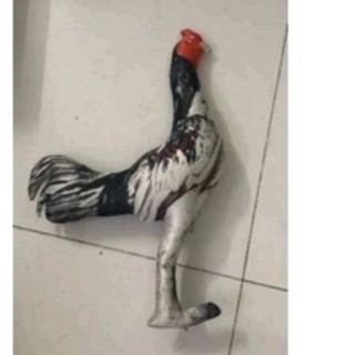 Gà thú bông 3D, tập lực cho gà