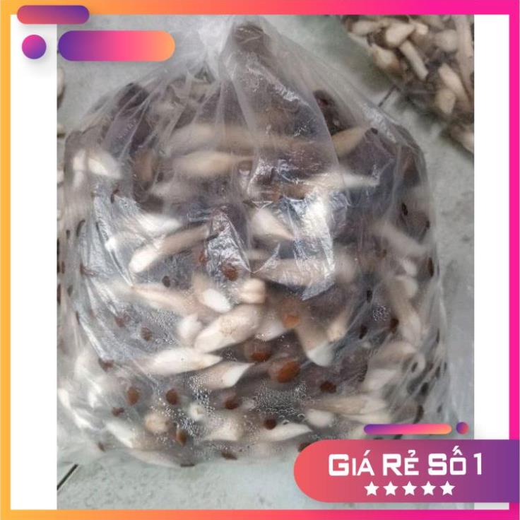 500g Nấm Mối Đen Búp Bi Tươi