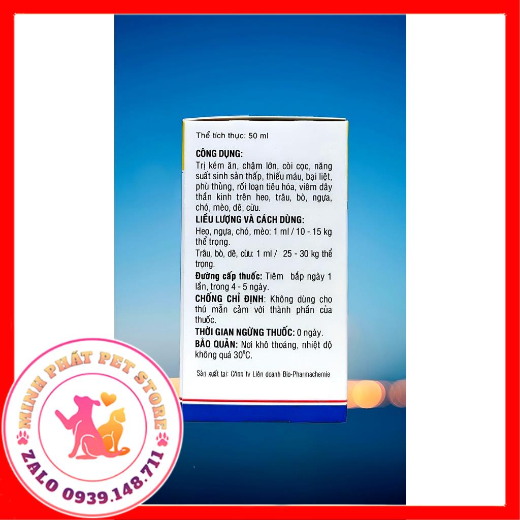 VITAMIN 3B B1 B6 B12 CHAI 50ML