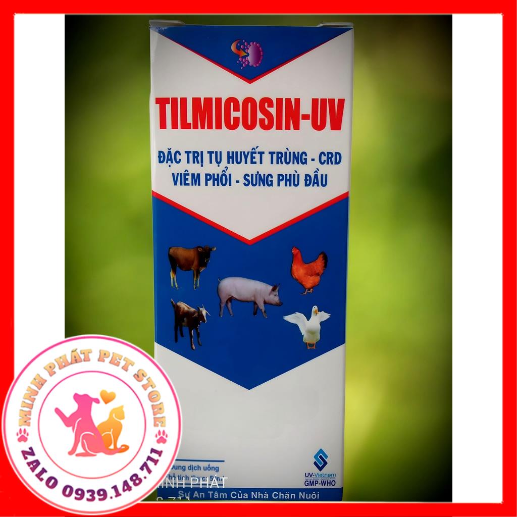 TILMICOSIN UV chai 50ml