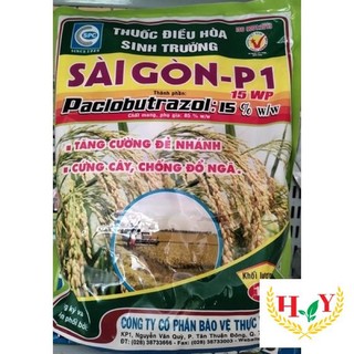 SAIGON P1/1KG