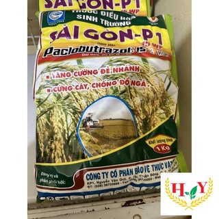 SAIGON P1/1KG