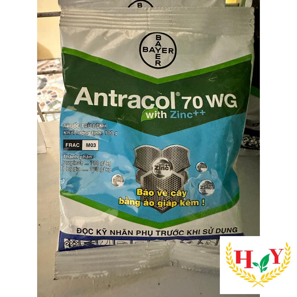 ANTRACOL 70WP/100GR