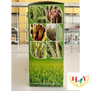 BỘ 3IN1 VI KHUẨN - ĐẠO ÔN - LEM LÉP