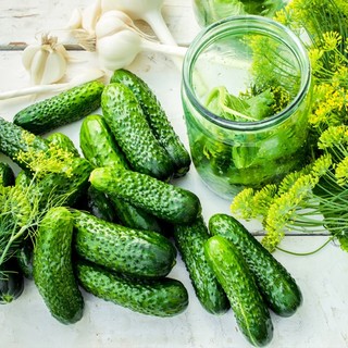 DƯA CHUỘT MUỐI NGUYÊN TRÁI