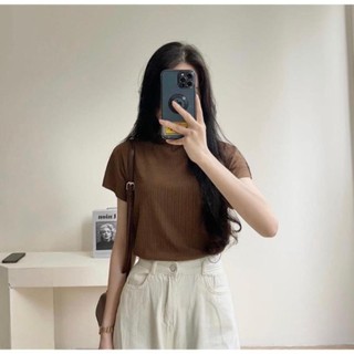 Áo thun gân lạnh tay dơi cổ leo - cherybasic - ao6917/p11k6