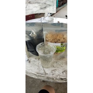 coopo hạt é mũ trôm 400g